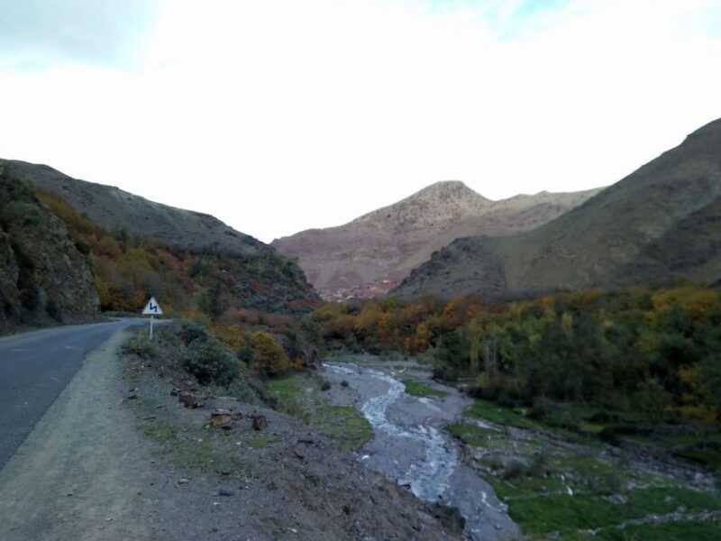 Atlas Mountains Ourika valley Day Trip From Marrakech - Practical Details and Tips