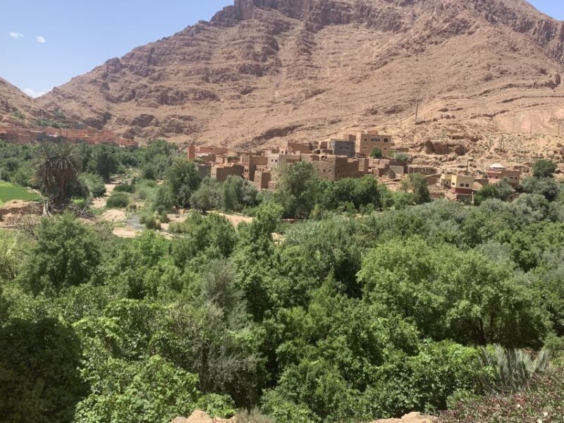 Atlas Mountains Ourika valley Day Trip From Marrakech - Authentic Experience and Customer Feedback