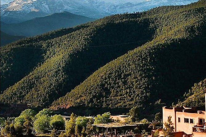 Atlas Mountains Ourika Valley Private day trip from Marrakesh - What to Expect on the Tour