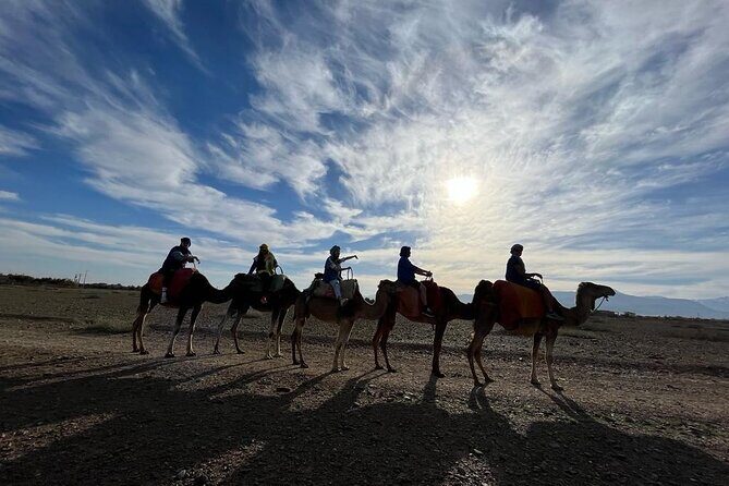 Atlas Mountains Ourika valley tour with Lunch included - An In-Depth Look at the Experience