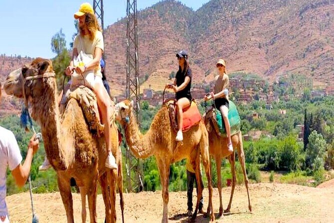 Atlas Mountains: Private Ourika Valley Day trip (All-Inclusive) - Final Thoughts