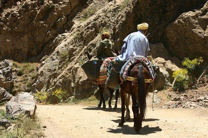 ATLAS MOUNTAINS The National Park of Toubkal - Analyzing the Value and Experience