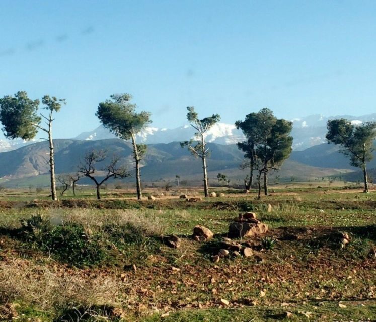 Atlas Mountains Tour: Explore Waterfall& Berber Villages - Key Points