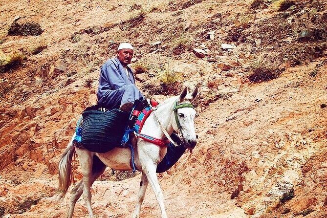 Atlas Mountains Tour from Marrakesh - The Itinerary in Detail: What to Expect