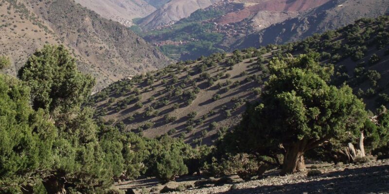 Atlas Mountains Trek 4 days - FAQ