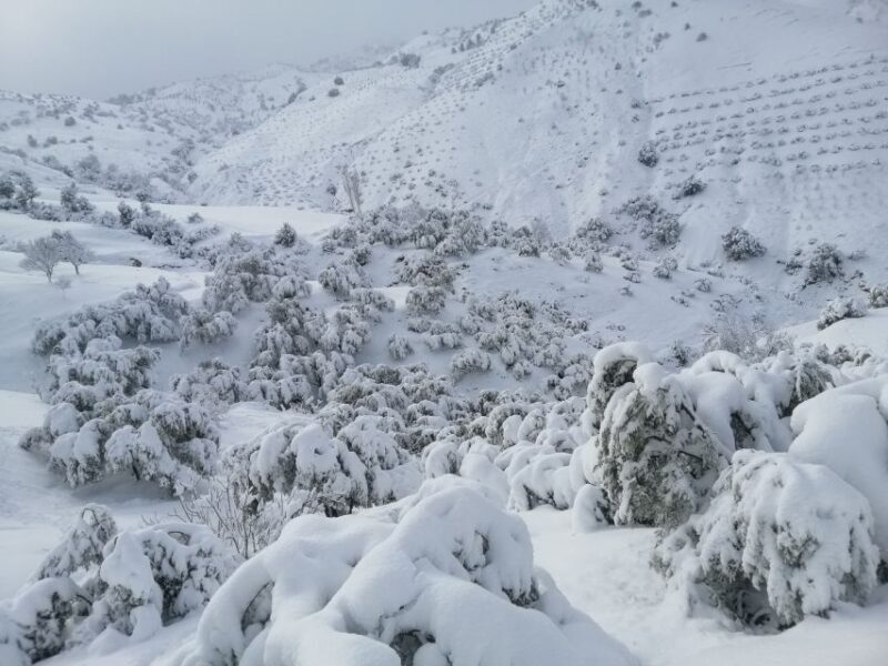Atlas Mountains Trek Azzaden Valley And Imlil 2 Days - An In-Depth Look at the Atlas Mountains Trek