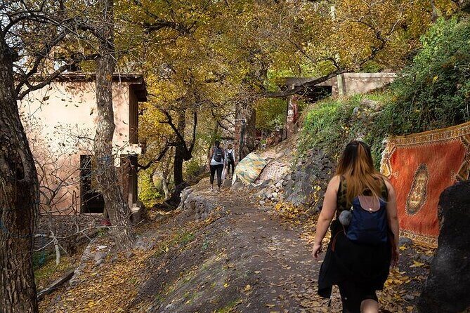 Atlas Mountains, Valley, Waterfalls and Lunch included - Key Points