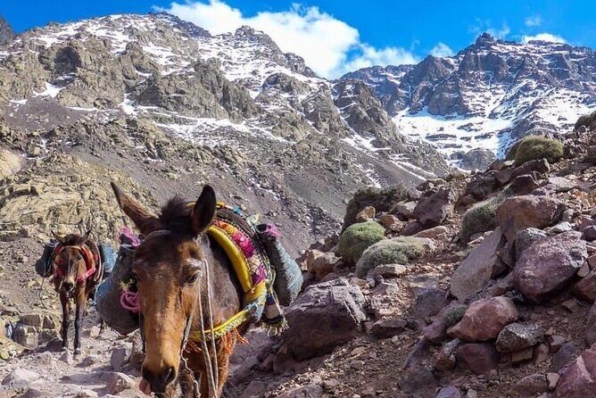 Atlas Mountains Waterfalls and 3 Valley with Lunch in Marrakesh - Practicalities and Considerations  