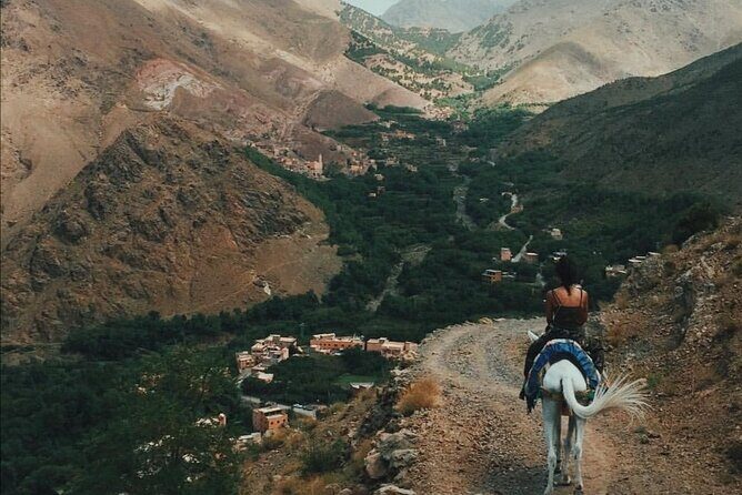 Atlas Mountains, Waterfalls Day Hike & Trek From Marrakech - Authentic Experiences and Practical Tips