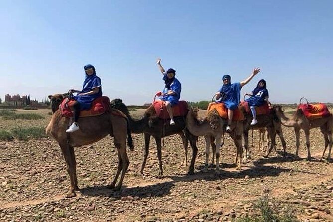 Atlas Mountains, Waterfalls Day Trip From Marrakech & Camel Ride - Who Should Consider This Tour?