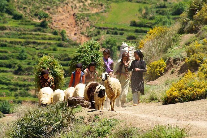Atlas Mountains with Horse Riding and discover the berber Villages and culture - Key Points