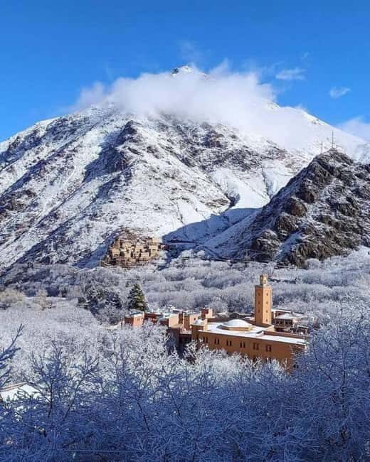 Atlas Mountains:Full-Day Trek to Berber Villages & Waterfall - Lunch: A Home-Cooked Berber Dining Experience