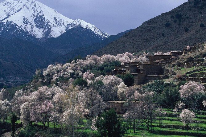 Atlas Mts. +Three Valleys Day Trip from Marrakech (Min. 2 P) - Key Points