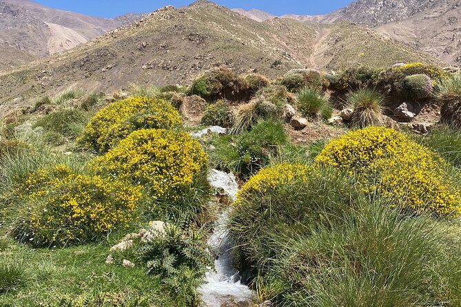 Atlas private day tour and Berber experience - Who Will Love This Tour?  