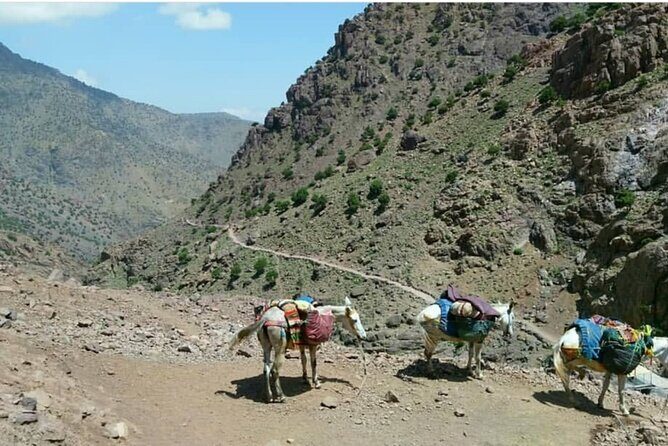 Atlas Valleys & Mount Toubkal Private 3 Days Trek From Marrakech - Practical Considerations