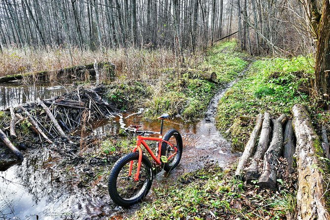 atomic-ride-litwild-visaginaslithuania