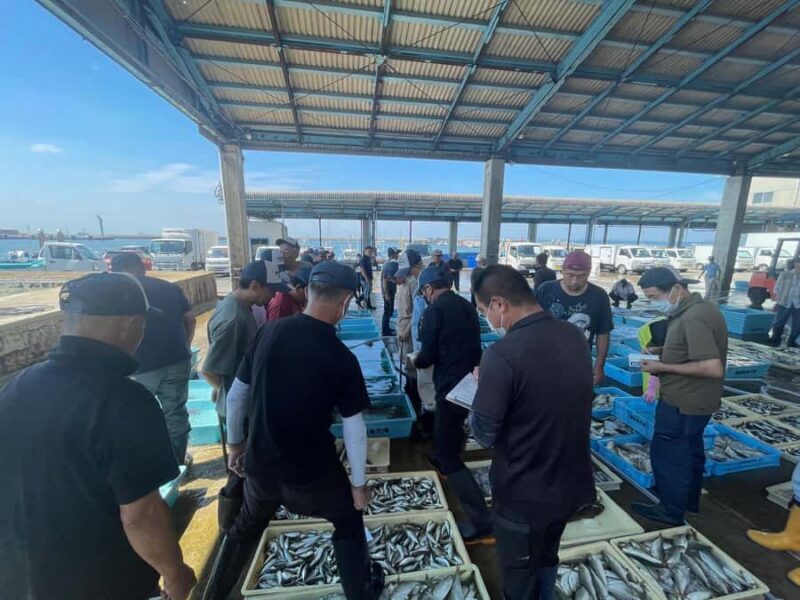 Atsumi Fish Market Live Action Exoerience - The Experience Breakdown: A Deep Dive