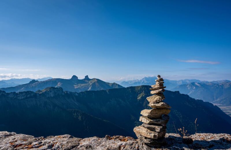 Attraction Ticket: Montreux to Rochers-de-Naye - Pricing and Value