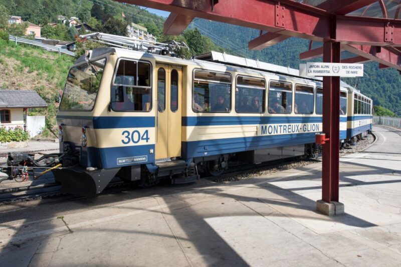 Attraction Ticket: Montreux to Rochers-de-Naye - What You Might Not Love