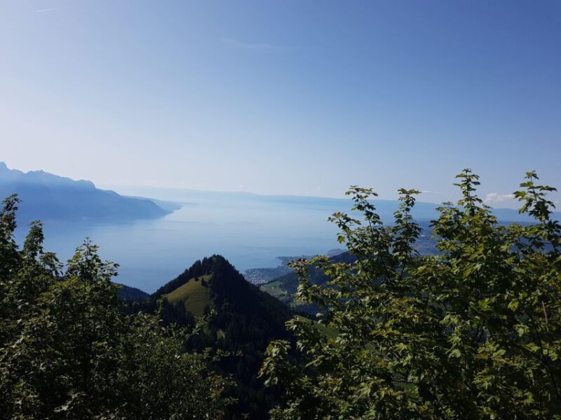Attraction Ticket: Montreux to Rochers-de-Naye - Who Will Enjoy This Tour?