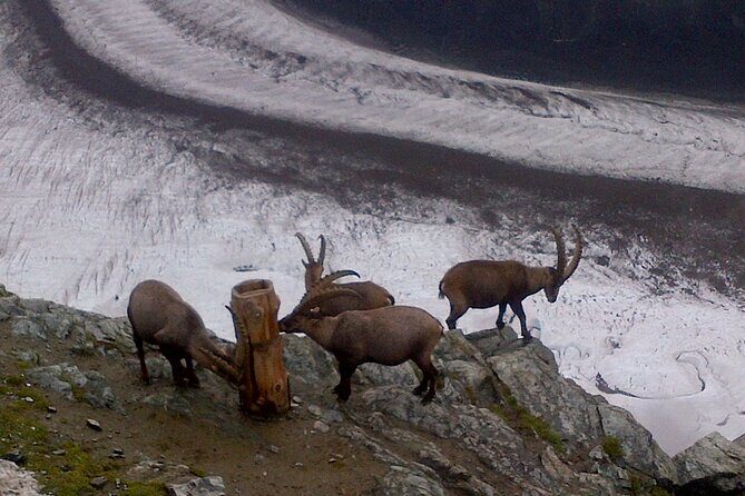 Attraction Ticket: Zermatt to Spectacular Mount Gornergrat Summit - Flexibility and Practical Considerations