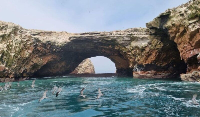 atv-adventure-ballestas-island-and-paracas-national-reserve