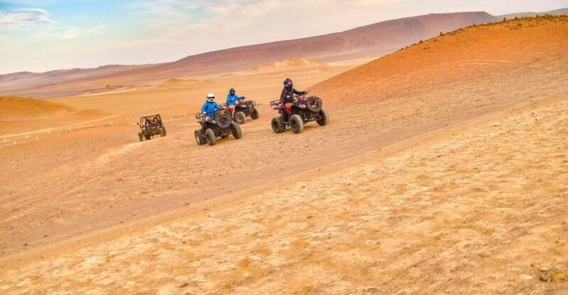 atv-adventure-ballestas-island-and-paracas-national-reserve