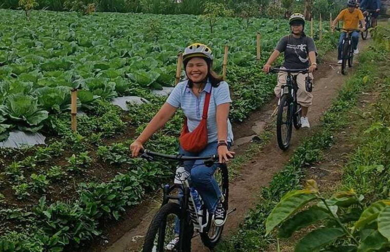 atv-adventure-scenic-cycling-tour-in-bali