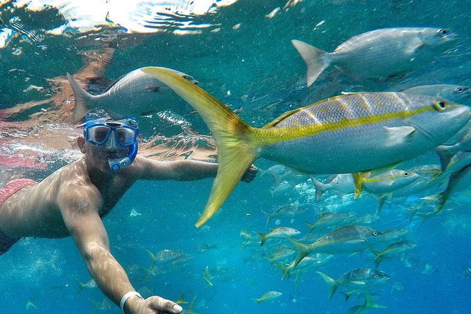 atv-adventure-snorkel-experience-tamarindo-playa-grande-flamingo-potrero