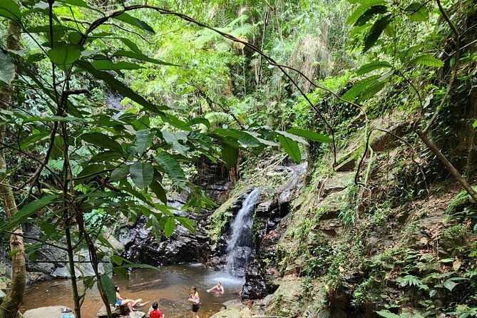 atv-and-waterfall-tour-from-hopkins-village