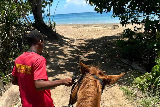 atv-bamboo-rafting-horseback-ride-from-montego-bay-private