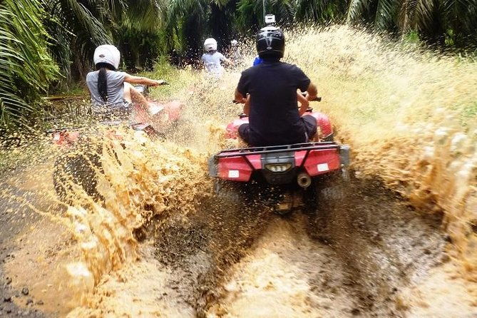 atv-canopy-tour-from-flamingo-beach