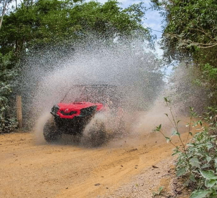 Atv Express Adventure - Why This Tour Offers Great Value  