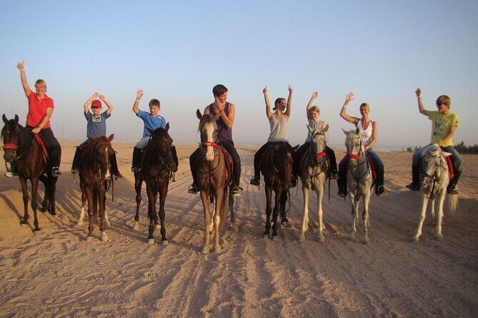 ATV horse stargazing - Key Points