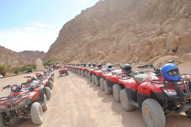 ATV Quad, Bedouin Tent with Tea Sharm El Sheikh - The Sum Up