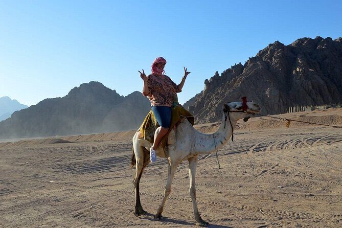 ATV Quad bike Adventure Desert Safari Tour In Sharm El Sheikh - FAQs