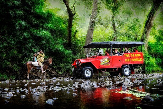 ATV Quad Bike Adventure Tour to Remote Village and School (Departs Nadi) - Who Will Love This Tour?