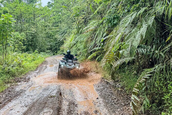 ATV Quad Bike Adventure  Village Visit & Kava (Coral Coast Fiji) - Detailed Review of the ATV Quad Bike Adventure