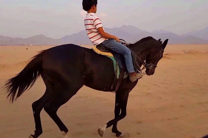 ATV Quad Bike Safari adventure Tour and Horse Riding 2 Hours - Sharm El Sheikh - Who Should Consider This Tour?