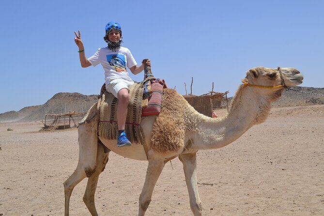 ATV Quad Bike Safari & Camel Ride With Transfer - Hurghada - Key Points