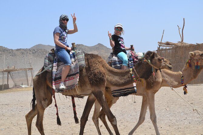 ATV Quad Bike Safari & Camel Ride With Transfer - Hurghada - Who Should Consider This Tour?