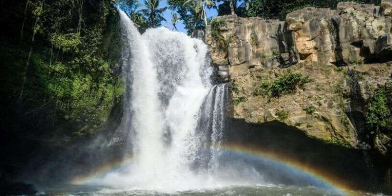 atv-quad-bike-with-ubud-monkey-forest-waterfall