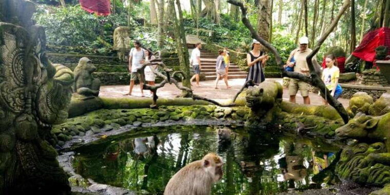 atv-quad-bike-with-ubud-monkey-forest-waterfall