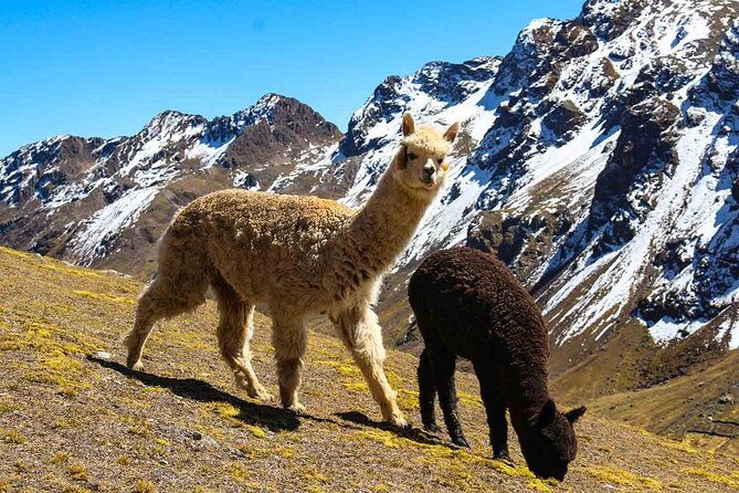 atv-quad-bikes-tour-to-rainbow-mountain