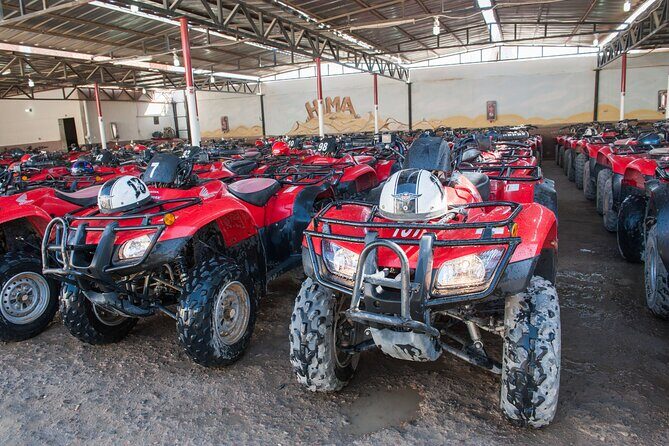 ATV Quad Safari Tour & Camel Ride Dinner and Show - Hurghada - Who Will Love This Tour?