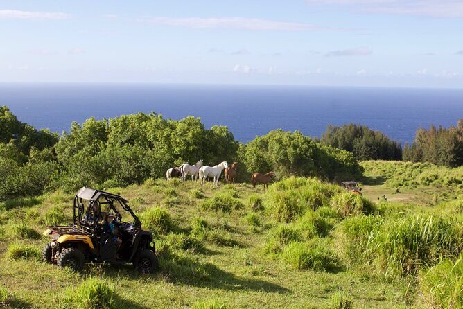 ATV Ranch ride Big Island Hawaii - The Sum Up