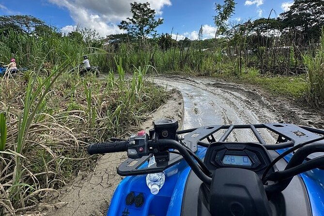 atv-ricks-cafe-and-7-mile-beach-from-montego-bay