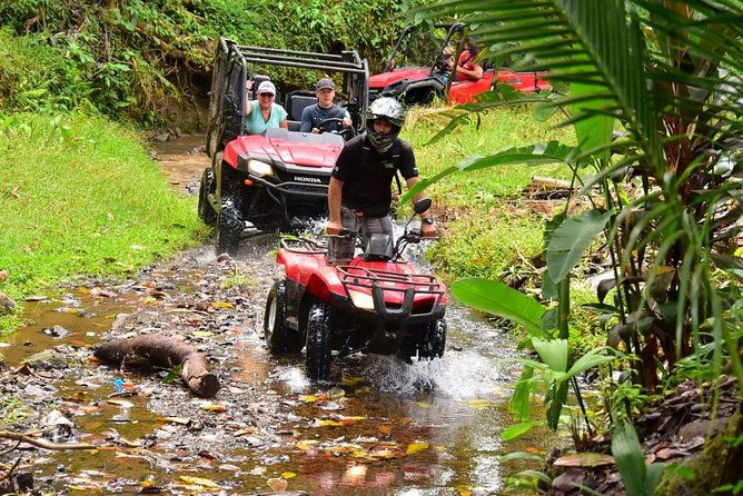 atv-river-beach-jungle-adventure-and-crocodiles-hotspot-from-san-jose