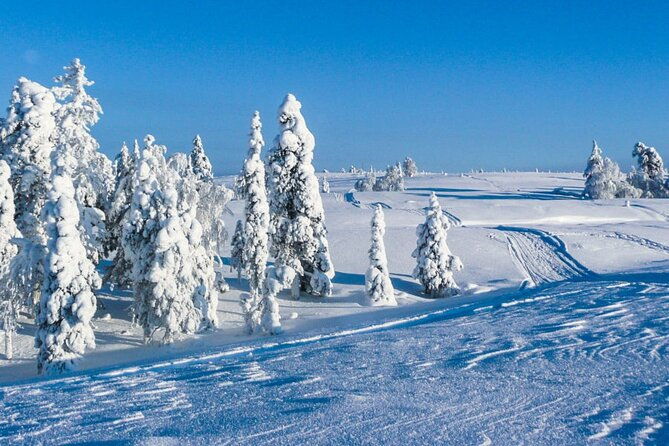 atv-safari-on-ice-and-snow