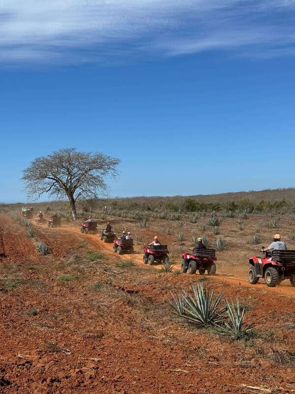 ATV & TEMAZCAL COMBO TOUR - Who Will Love This Tour?